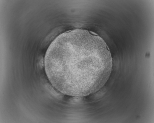 X0000111940479200908241145