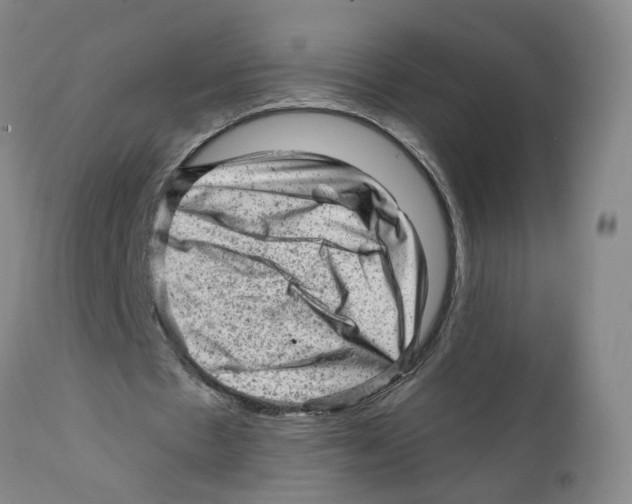 X0000111940481200908241144