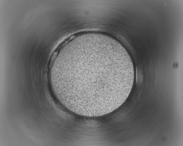X0000111940483200908241144