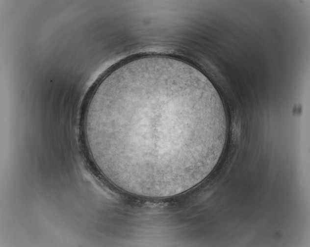 X0000111940484200908241144