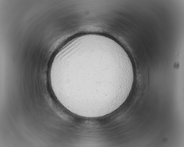 X0000111940487200908241144