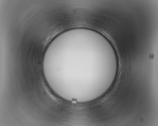 X0000111940489200908241144