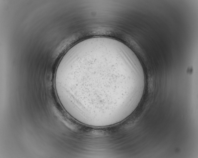 X0000111940490200908241144