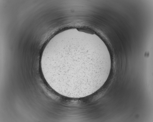 X0000111940493200908241144