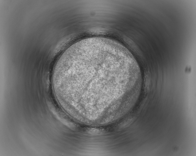 X0000111940494200908241144