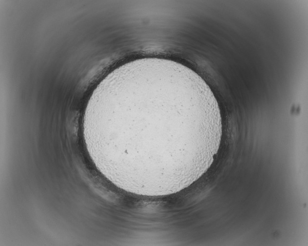 X0000111940495200908241144