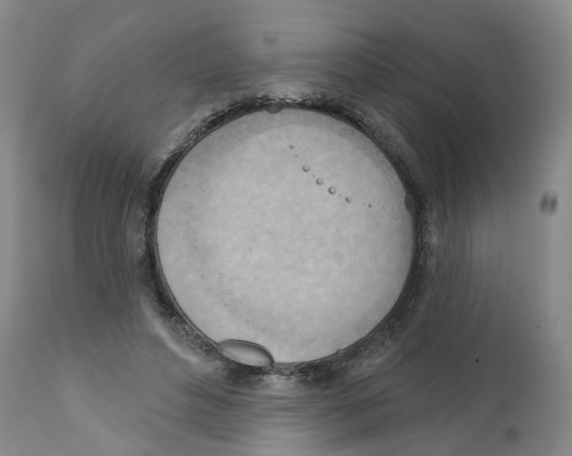 X0000111940496200908241144