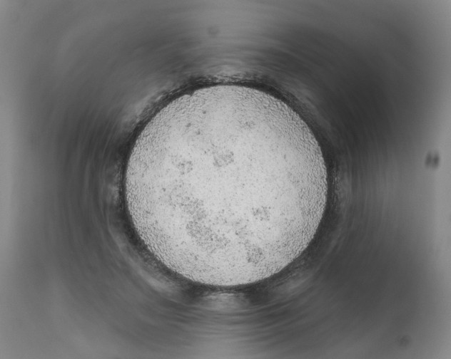 X0000111940499200908241144