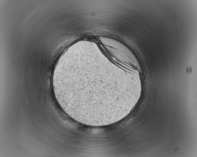 X0000111940501200908241144