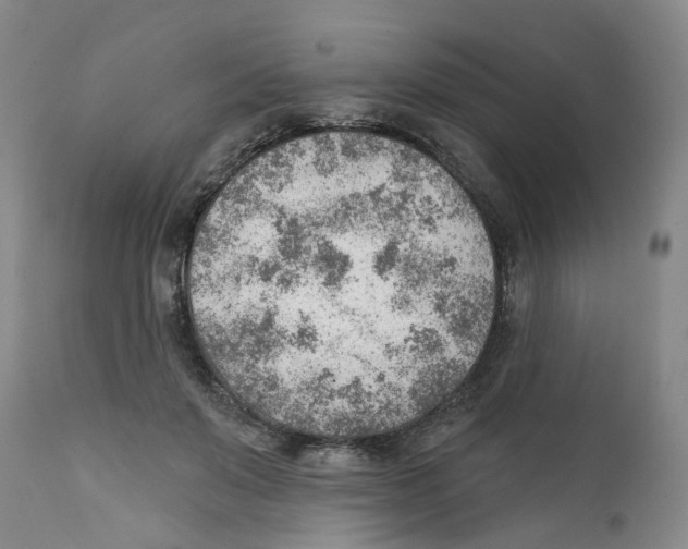 X0000111940503200908241144