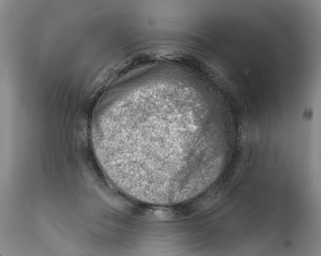 X0000111940506200908241144