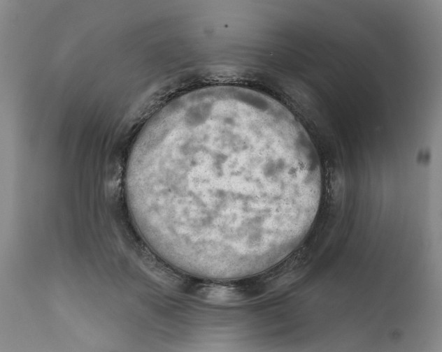 X0000111940507200908241144
