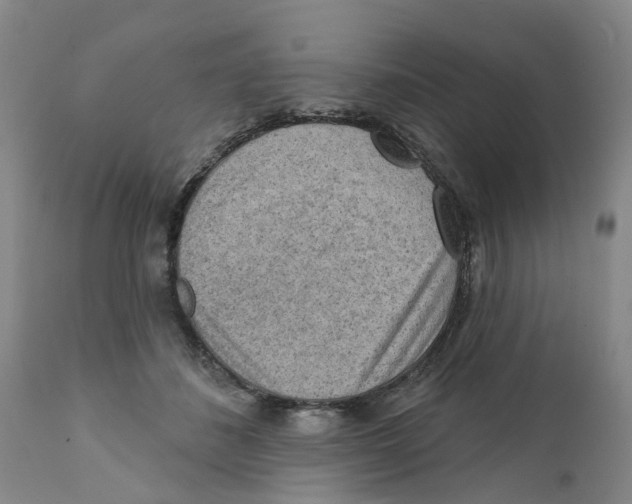 X0000111940508200908241144