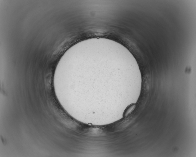 X0000111940509200908241144