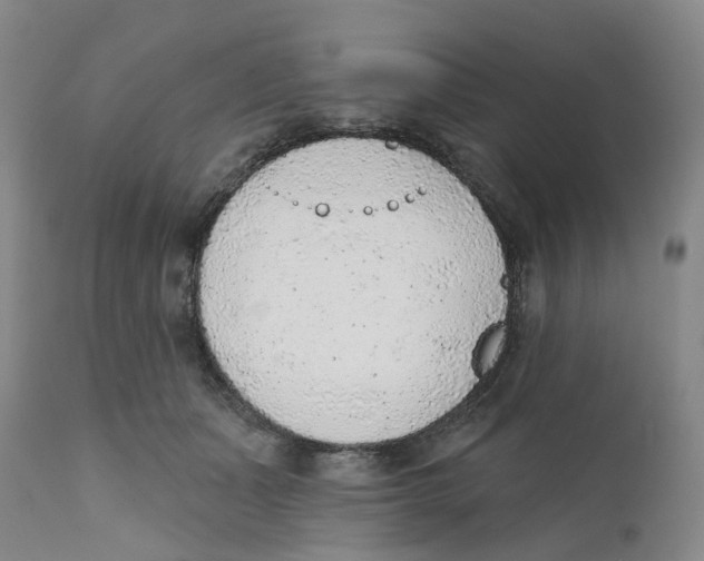 X0000111940511200908241144