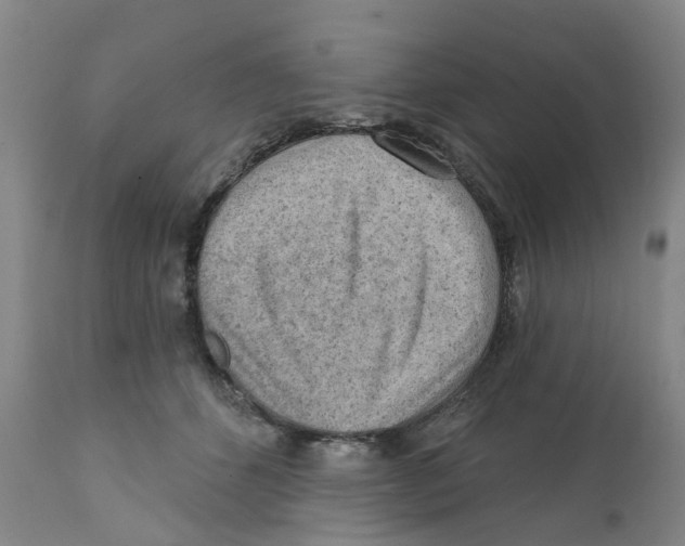 X0000111940512200908241144