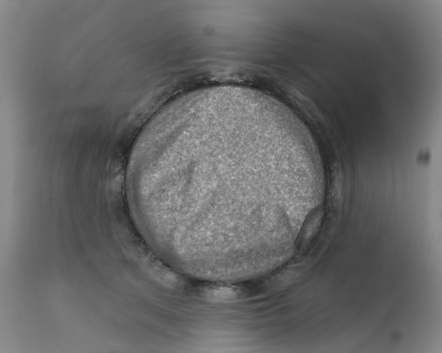 X0000111940513200908241144