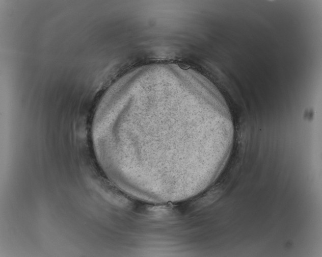 X0000111940516200908241144