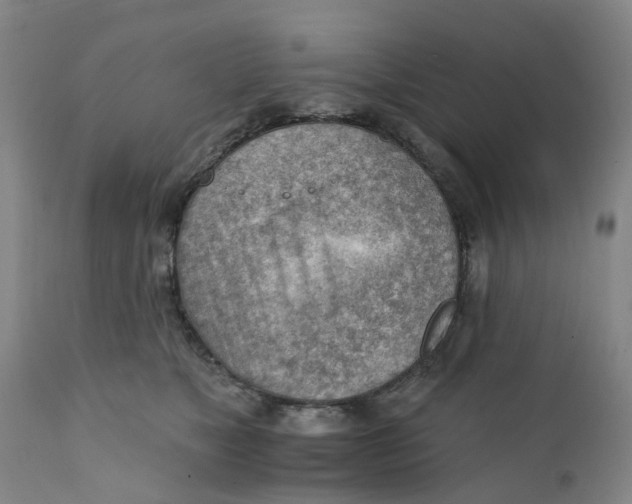 X0000111940517200908241144
