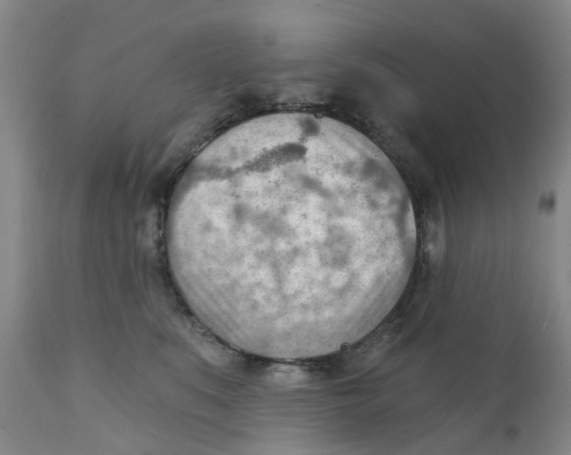 X0000111940519200908241144