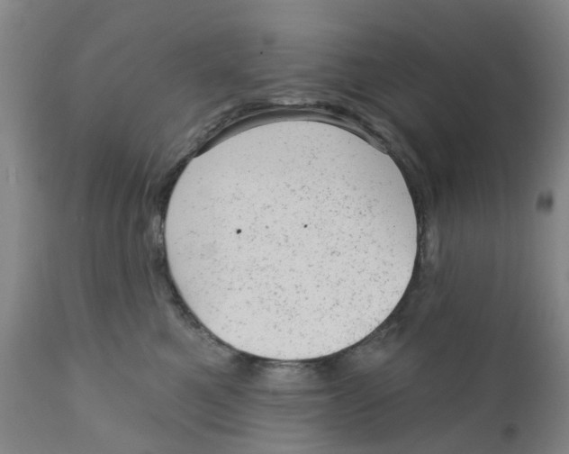 X0000111940521200908241144