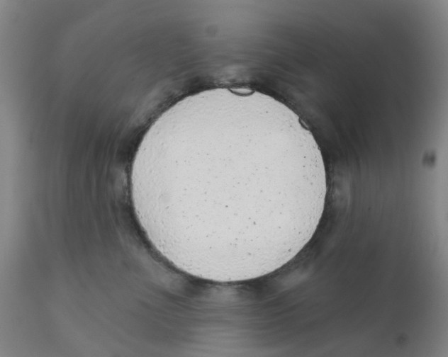X0000111940523200908241143