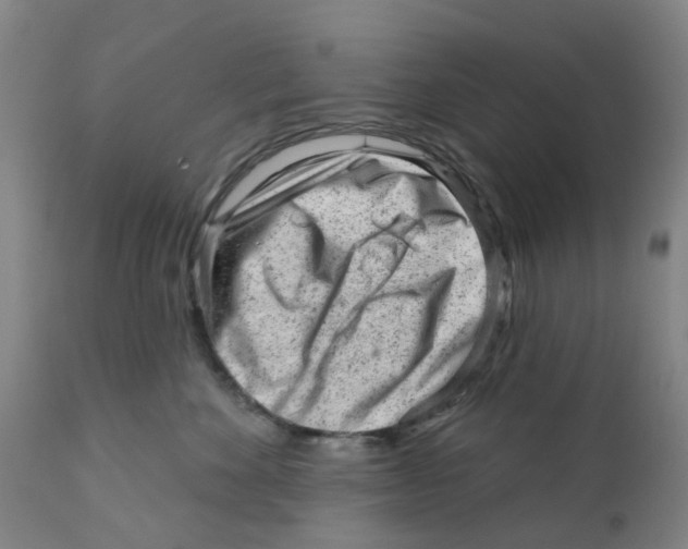 X0000111940524200908241143