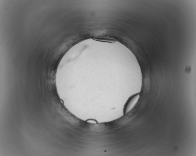X0000111940525200908241143