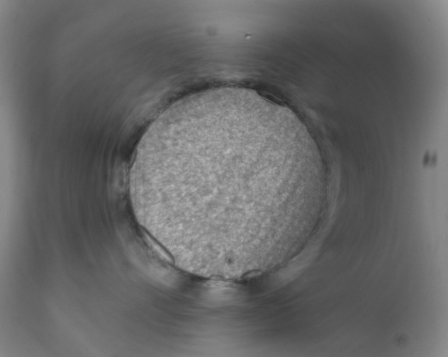 X0000111940528200908241143