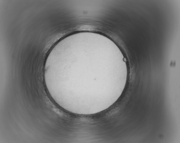 X0000111940529200908241142