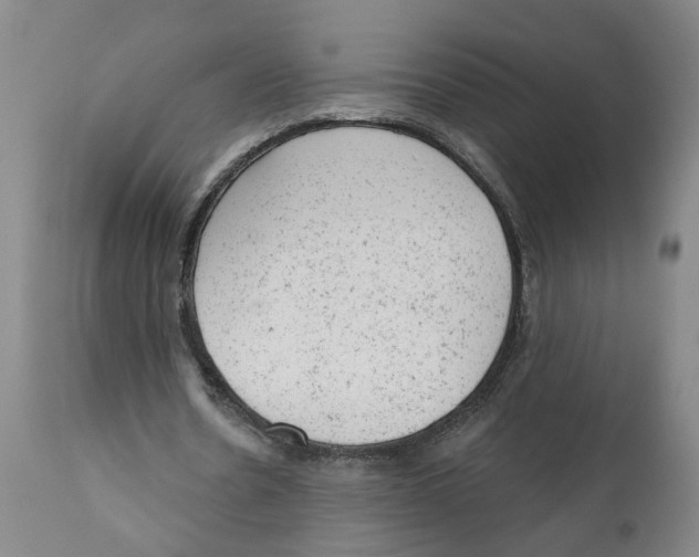 X0000111940530200908241142