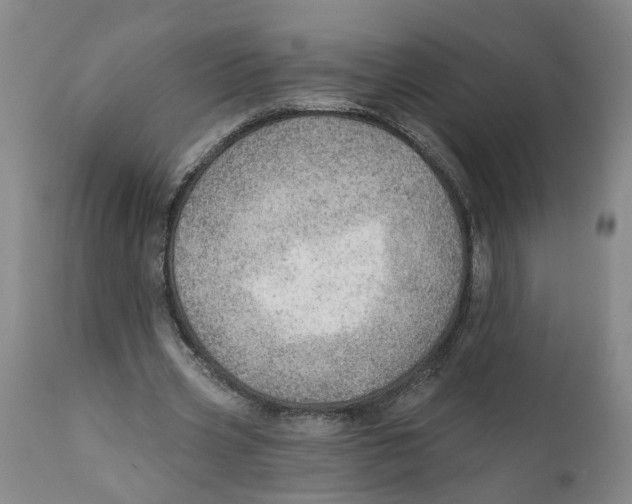 X0000111940533200908241143