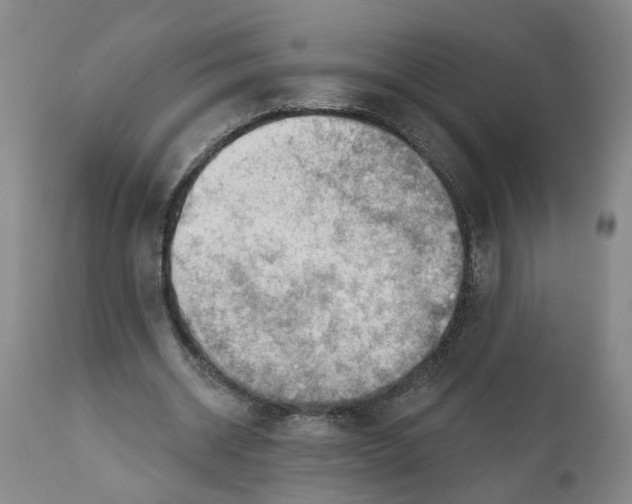 X0000111940534200908241143