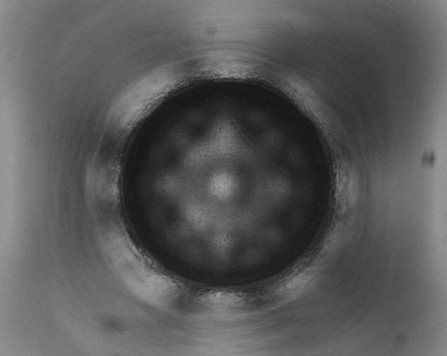 X0000111940537200908241143