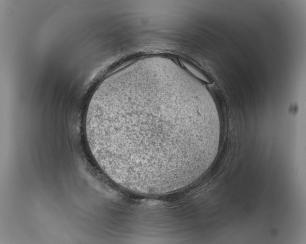 X0000111940539200908241143