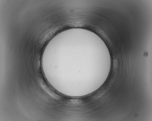 X0000111940541200908241143