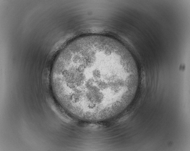 X0000111940542200908241143