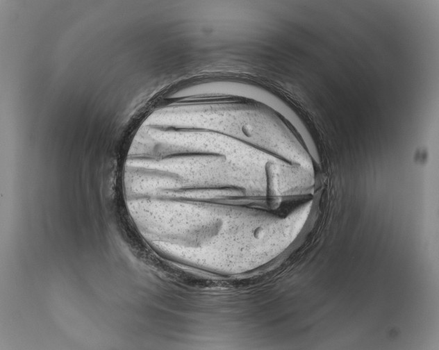 X0000111940544200908241143
