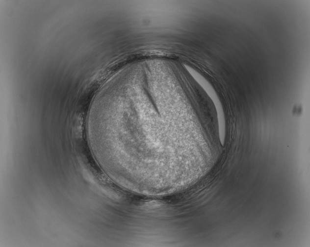 X0000111940551200908241143