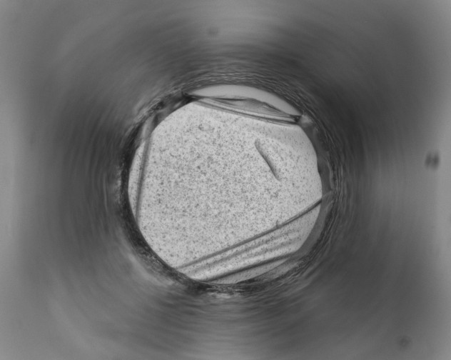 X0000111940552200908241143