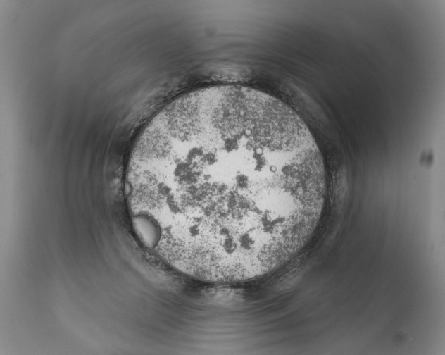X0000111940553200908241143
