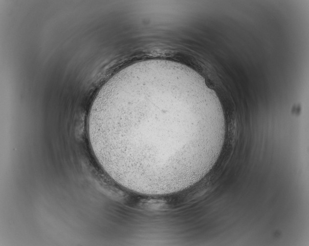 X0000111940554200908241143