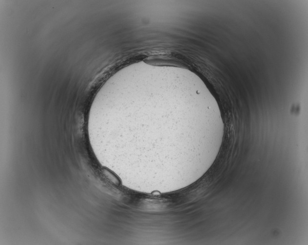 X0000111940556200908241143