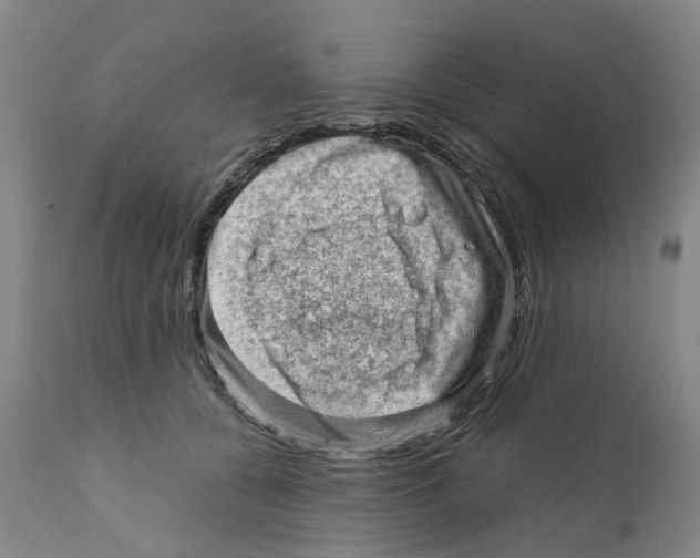 X0000111940560200908241143