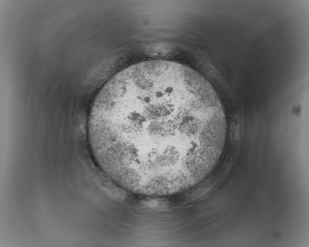 X0000111940561200908241143