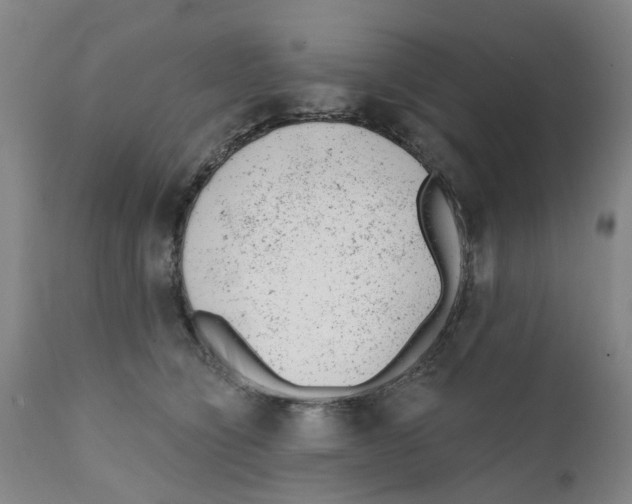 X0000111940564200908241143