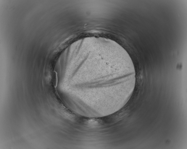 X0000111940566200908241143
