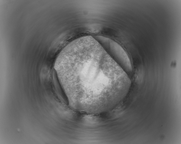 X0000111940568200908241143