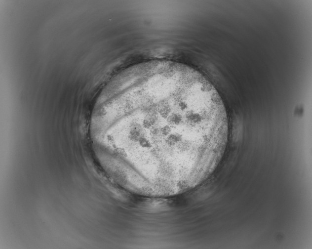 X0000111940569200908241143