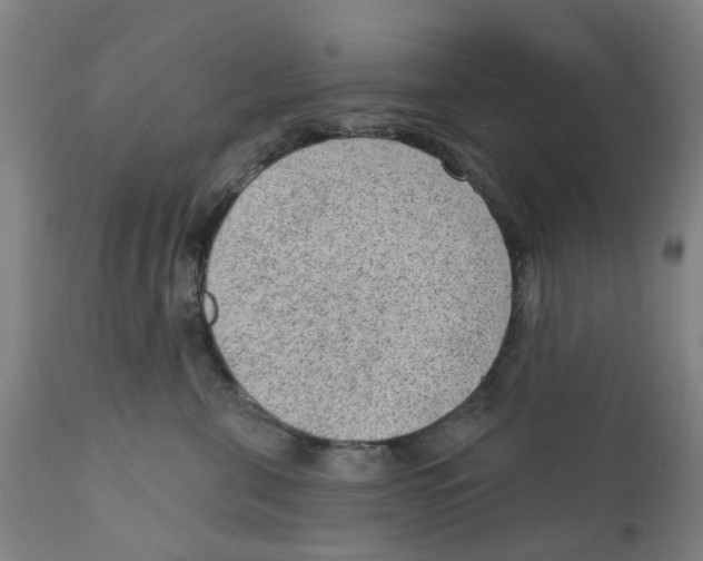 X0000111940571200908241143